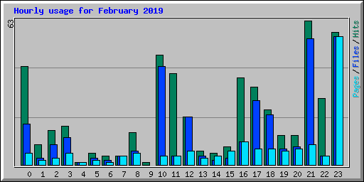 Hourly usage for February 2019