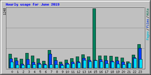 Hourly usage for June 2019