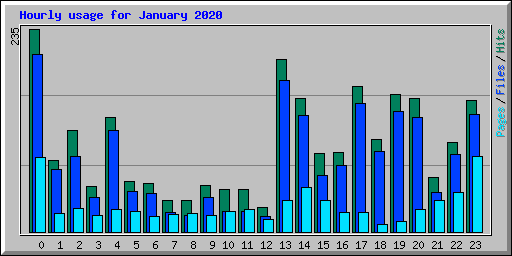 Hourly usage for January 2020